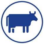 VACA_ICON